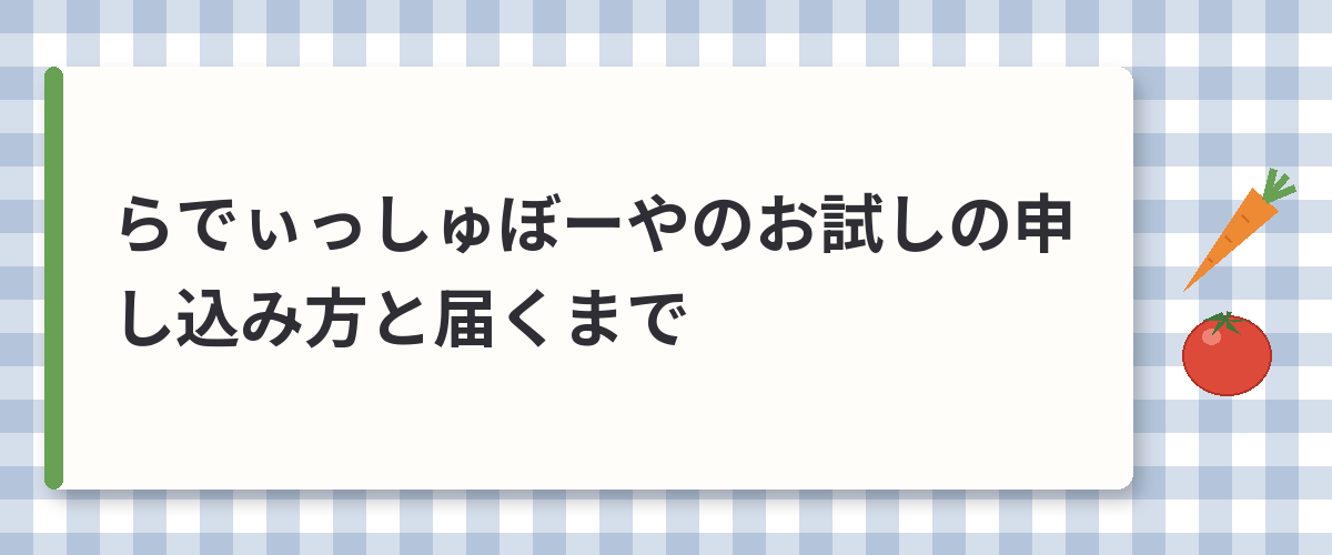 らでぃっしゅぼーやのお試しの申し込み方と届くまで